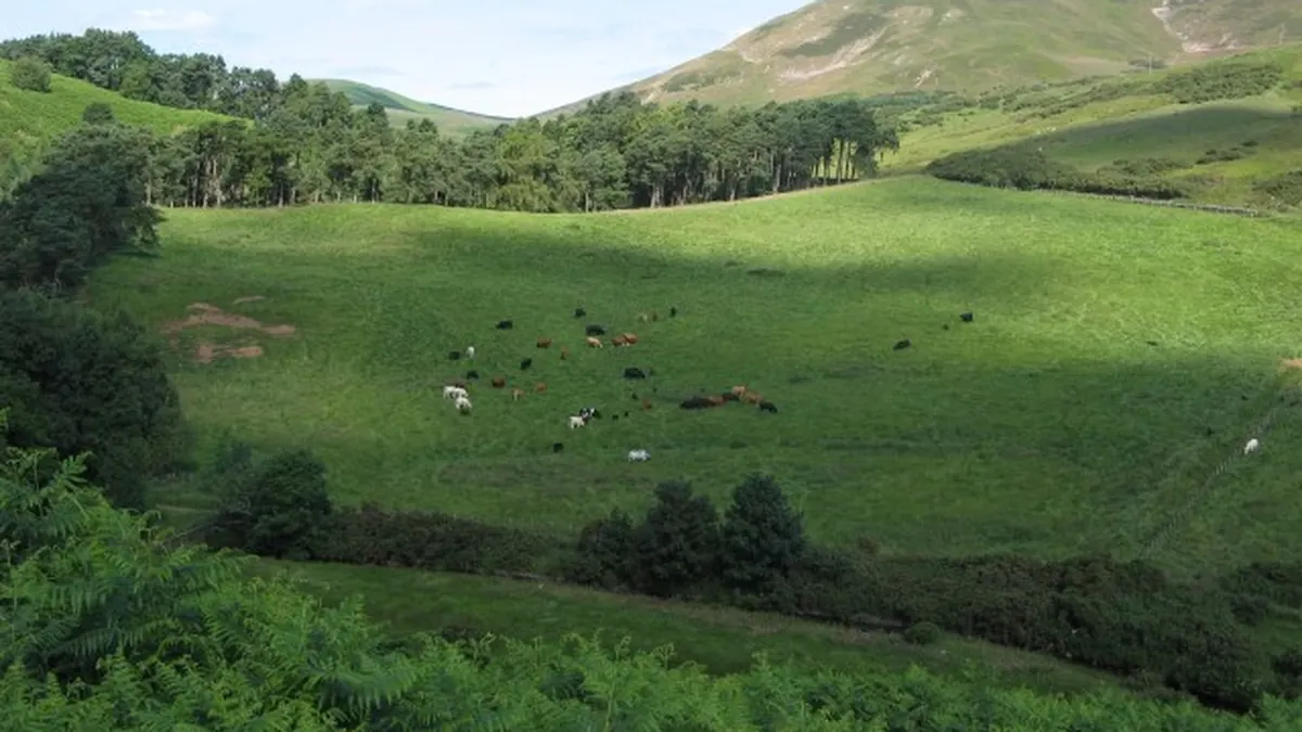 Pentland Hills countryside near Flotterstone and Penicuik